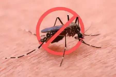 World Malaria Day 2026: Scientific Breakthroughs Saving Lives
